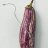 Alba Silver Cardamom Pod Necklace