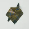 Pantry Check Boiled Wool Scarf